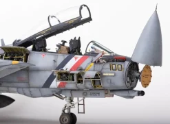 AMK 1/48 Grumman F-14D Super Tomcat Super Detail Model Kit