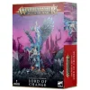 Games Workshop Age of Sigmar - Disciples of Tzeentch - Lord of Change