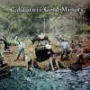 Pegasus Hobbies 1/72 California Gold Miners