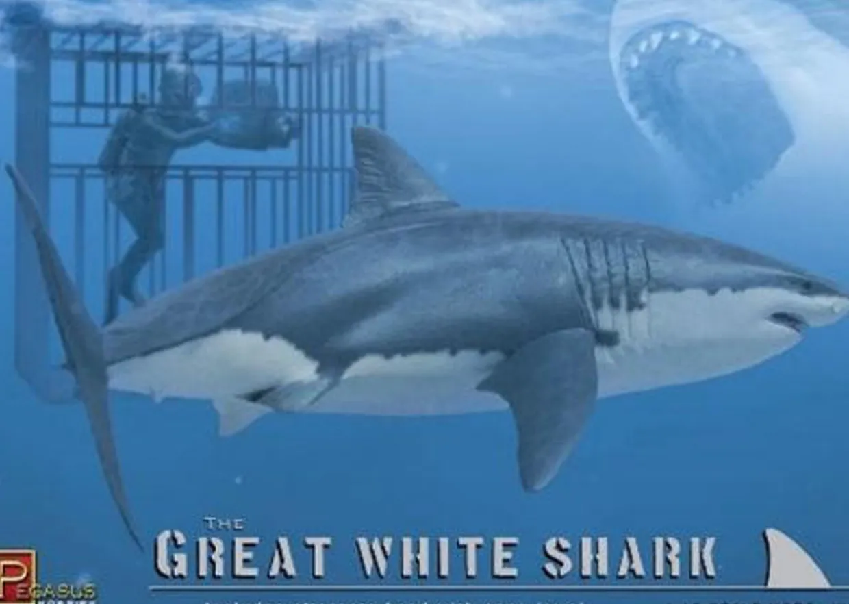 Pegasus Hobbies 1/18 Great White Shark with Diver and Cage Model Kit
