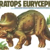 Tamiya Triceratops Eurycephalus Model Kit
