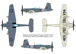 Valom 1/72 Blackburn Firebrand TF Mk.5 Model Kit