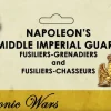 Victrix 28mm Napoleon's French Middle Imperial Guard