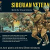 Warlord Games 28mm Bolt Action - Soviet Forces - Siberian Veterans